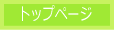 �f�B�Y�j�[�p��V�X�e���̔�