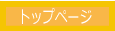 �f�B�Y�j�[�p��V�X�e��DWE�@�̔�TOP